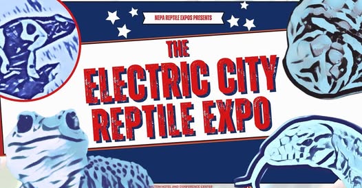 NEPA Reptile Expo